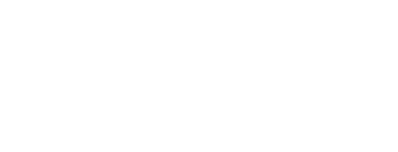 Viva Corp